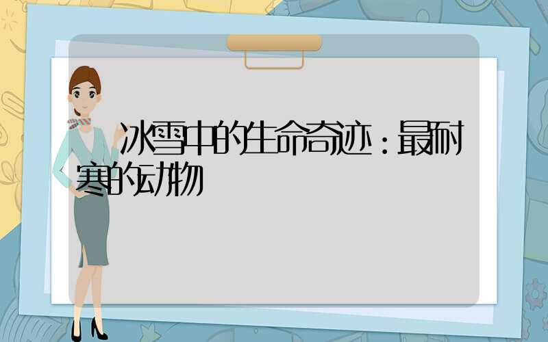  冰雪中的生命奇迹：最耐寒的动物
